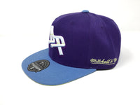 Detroit Pistons Purple 50 Seasons Fitted Hat