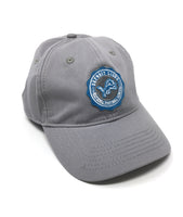 Detroit Lions NFL Pro Standard Hat (Grey)
