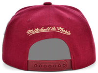 Mitchell & Ness Hat Detroit Pistons Hardwood Classic Jockey Snapback Cap 18798593