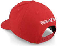 Mitchell & Ness Hat Detroit Red Wings Team Ground 2.0 Pro Snapback Hat 195563702543