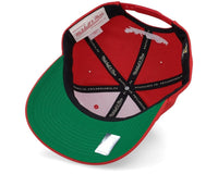 Mitchell & Ness Hat Detroit Red Wings Team Ground 2.0 Pro Snapback Hat 195563702543