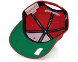 Mitchell & Ness Hat Detroit Red Wings Team Ground 2.0 Pro Snapback Hat 195563702543