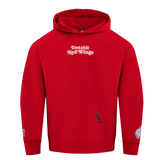 Pro Standard Hoodie NHL Detroit Red Wings Wingspan Men's Drop Shoulder Fleece Pullover Hoodie