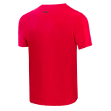 Pro Standard T-Shirt NHL Detroit Red Wings Retro Classic Men's Striped Tee