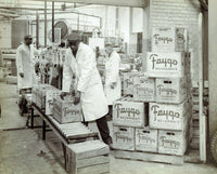 Wayne State Press Book The Faygo Book 9780814345856