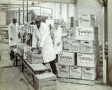 Wayne State Press Book The Faygo Book 9780814345856