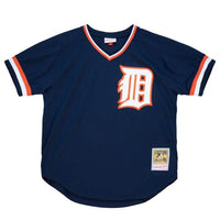 Alan Trammell Detroit Tigers Mitchell & Ness 1984 Authentic Cooperstown Collection - Detroit Historical Society