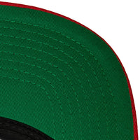 Mitchell & Ness Hat Vintage Sharktooth Snapback Detroit Red Wings 195563580639